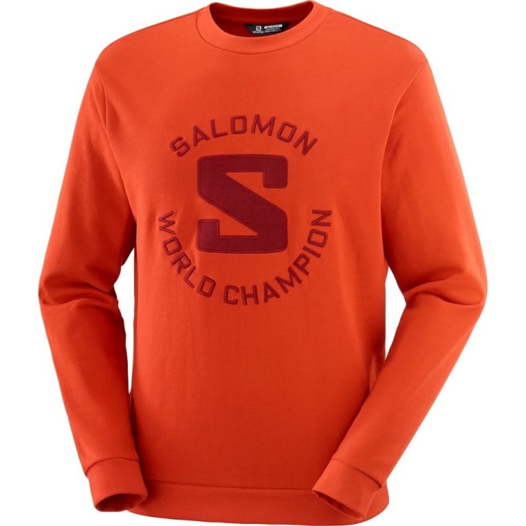 Orange Salomon Outlife Logo Summer Men's Sweatshirt | IE IW6452